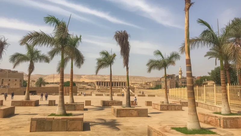 Shaded Rest Areas – Short Breaks from Sun(3)