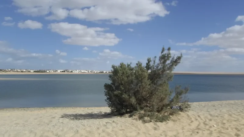 Shallow Water Zones – Safe Water Edges(5)