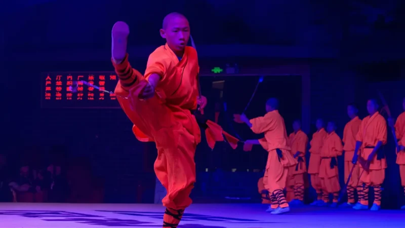 Shaolin Martial Arts Hall(4)