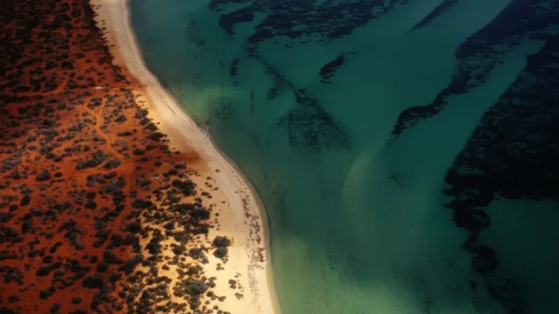 Shark Bay – World Heritage Marine Area(5)