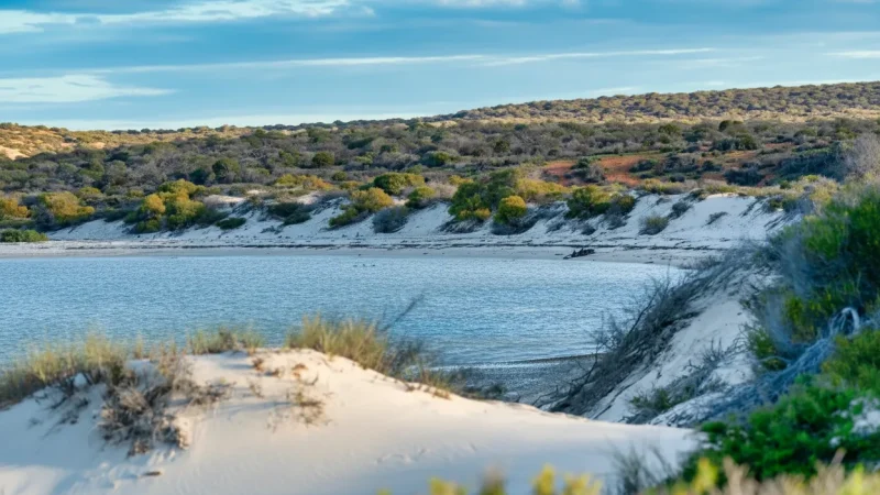 Shell Beach – Beach Made of Shells(5)