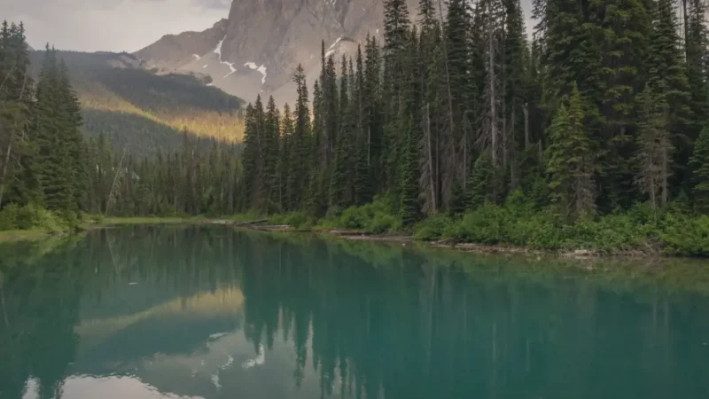 Sherbrooke Lake – Quiet roadside lake(2)