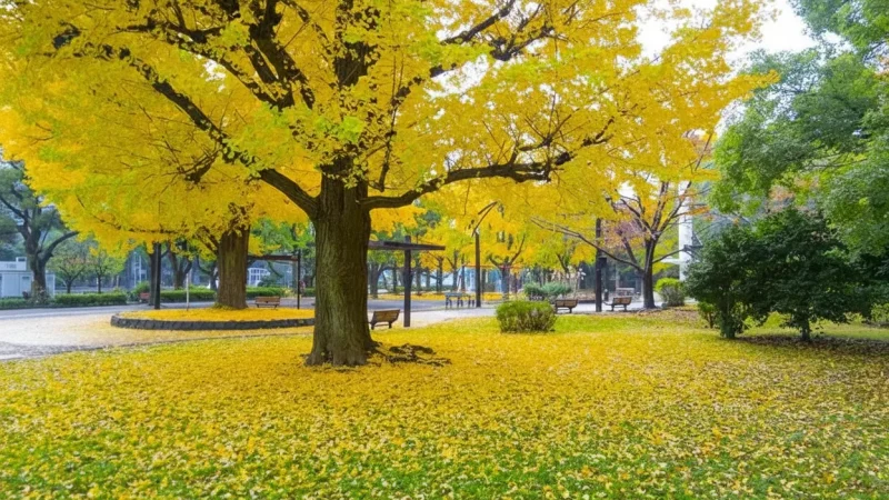 Shiba Park(5)
