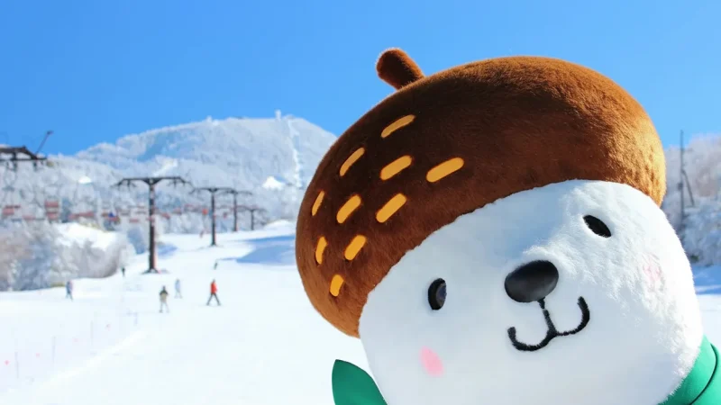 Shiga Kogen Highlands(6)