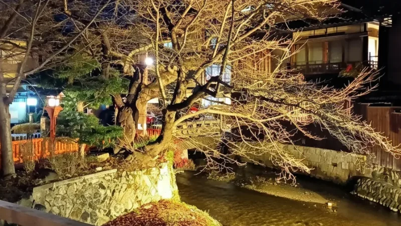 Shirakawa Canal(1)