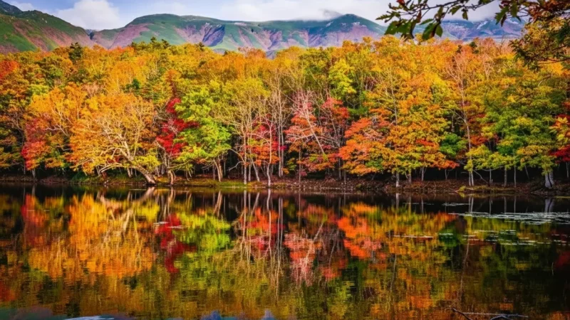 Shiretoko Five Lakes(2)