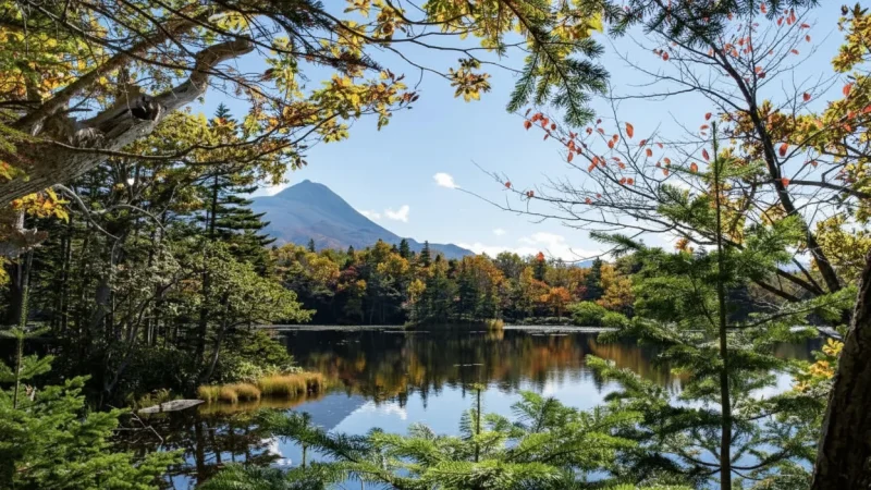 Shiretoko National Park(6)