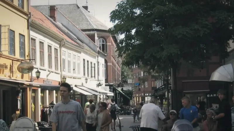Shopping Streets – Pedestrian-friendly areas(3)