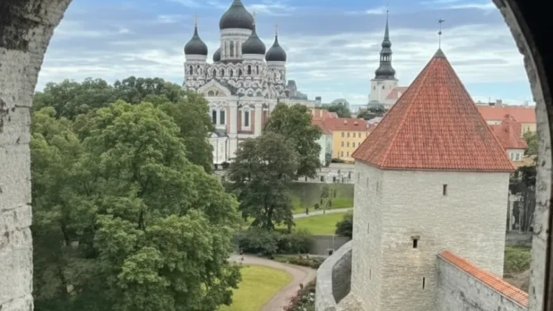 Short Leg Gate Tower(1)