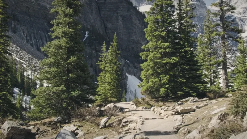 . Short Nature Trails – Easy exploration routes(1)