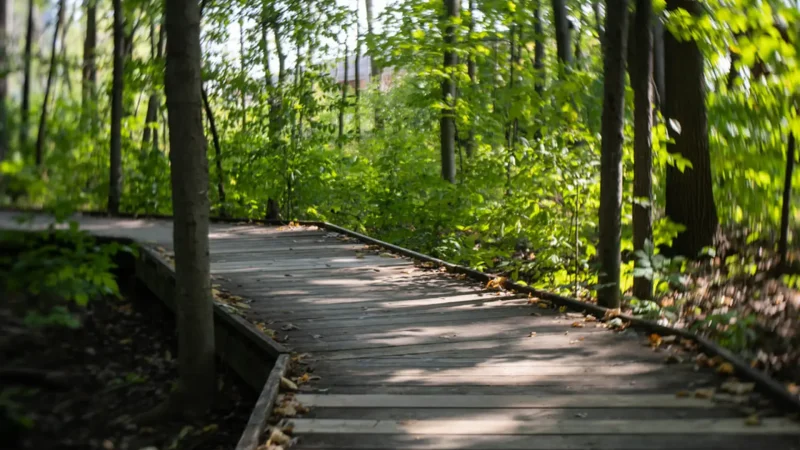 Short_Nature_Trails_тАУ_Easy_walks_02