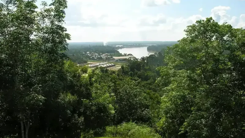 Sibu_Wildlife_Sanctuary5