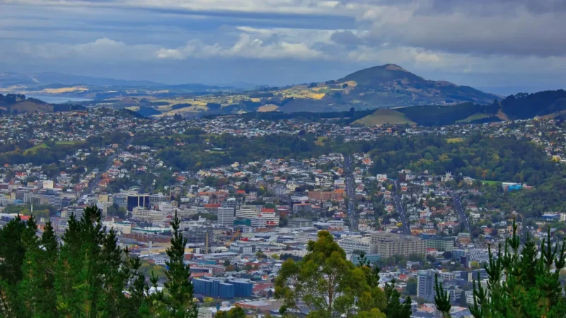 Signal_Hill_Lookout_тАУ_Panoramic_City_View_01