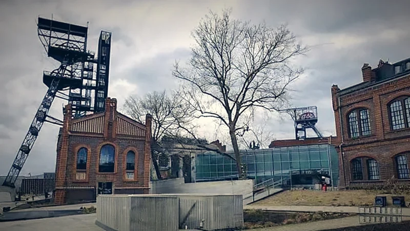 Silesian Museum(4)