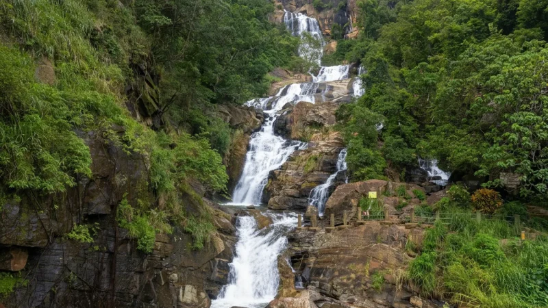 Silver Waterfall – Tall Forest Waterfall(5)