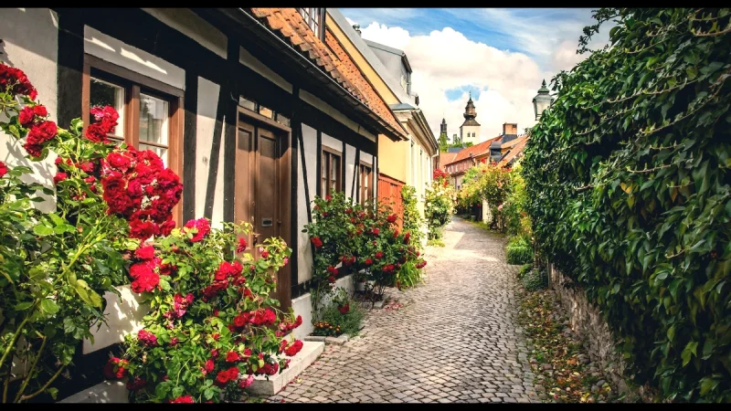 Simrishamn Old Town(5)