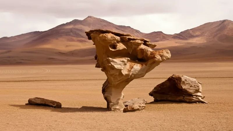 Sinai Mountain Views – Dramatic natural scenery(2)