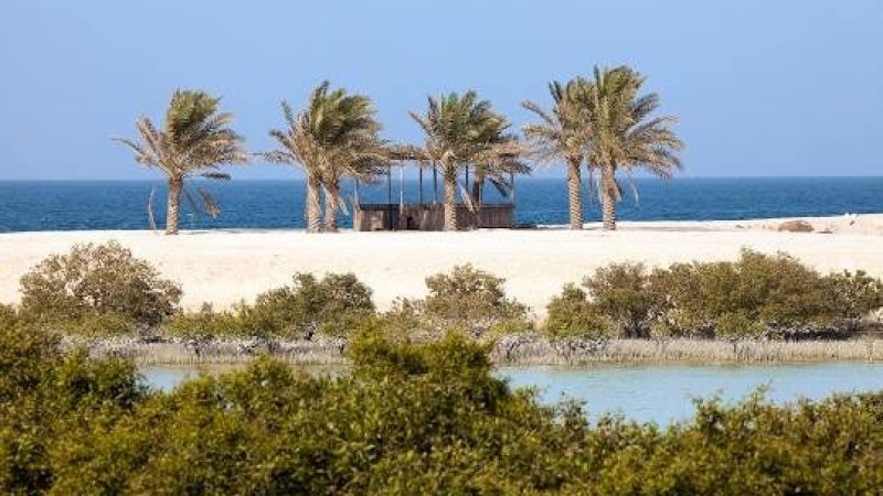 Sir Bani Yas Island1