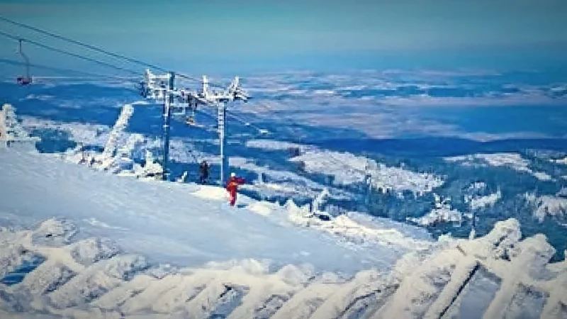 Ski Areas(1)