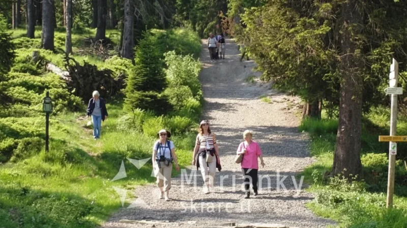 Ski and Nature Area – Mariánské Lázně(6)