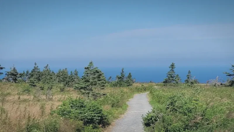 Skyline Trail – Clifftop walking trail(2)