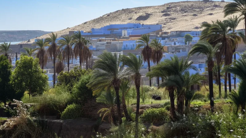 Small Farming Plots – Traditional Agriculture(6)