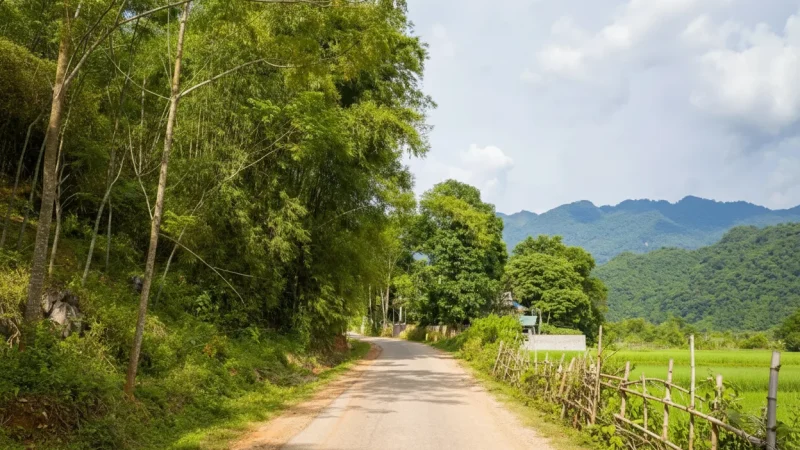 Small Forest Trails – Light walking paths(5)