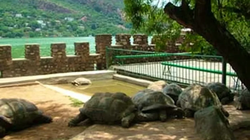 Snake_and_Animal_Park_тАУ_Family-friendly_attraction_01