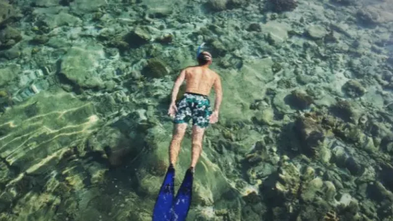Snorkeling Areas – Clear Waters(4)