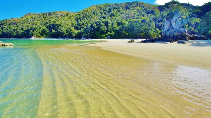 Snorkeling_Areas_тАУ_Clear_Coastal_Waters_04