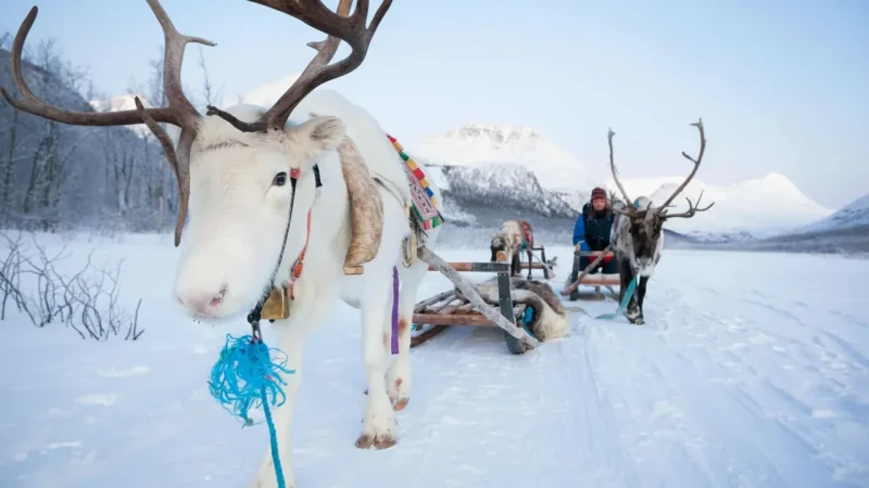 Snow Activities Areas – Winter outdoor experiences(6)