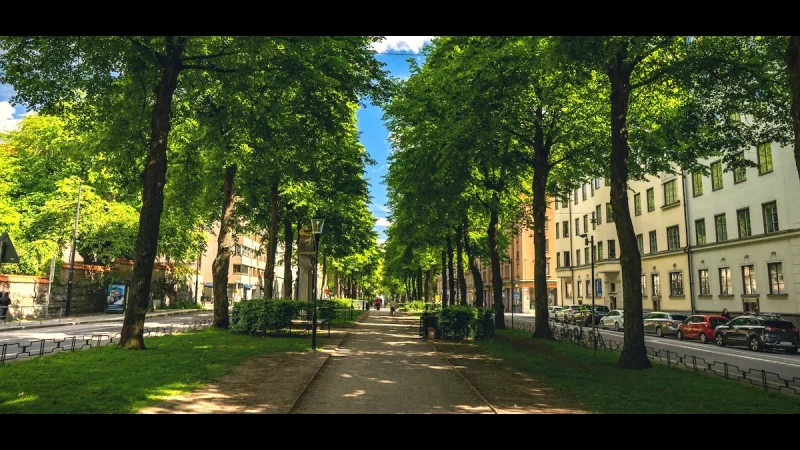 Societetsparken (Societetsparken)(3)