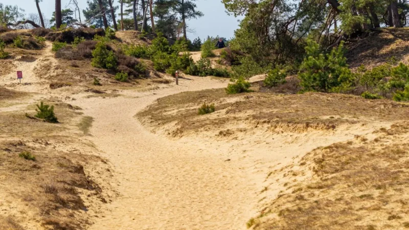 Soesterduinen_06