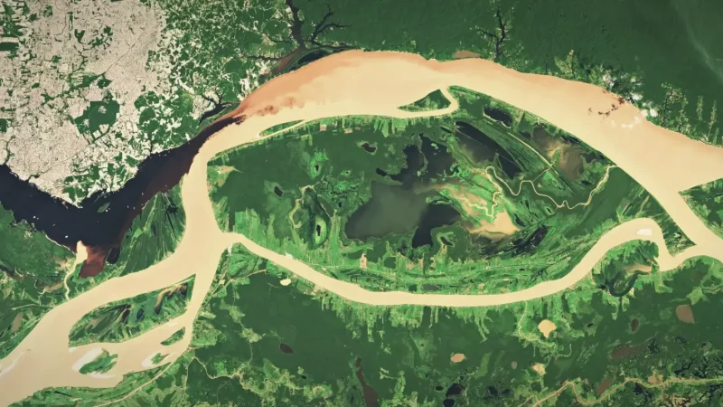 Solimões Riverbanks – Light-water river views(1)
