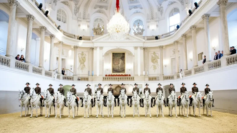 Spanish Riding School(5)