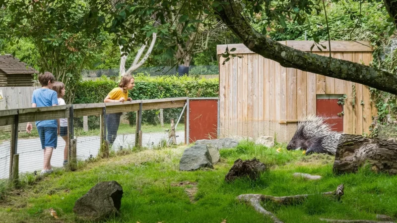 Spaycific'Zoo(5)