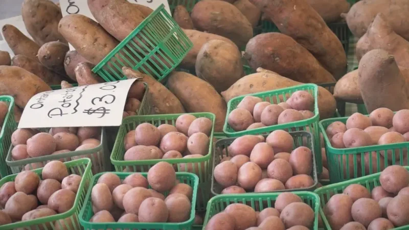 St. Lawrence Market – Food & produce(4)