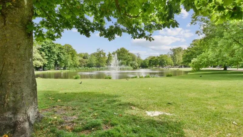 Stadspark_Tilburg_05