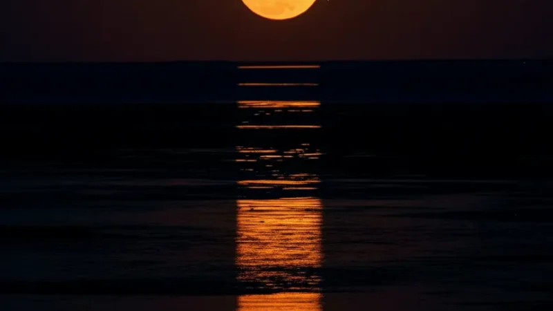 Staircase to the Moon – Natural tidal phenomenon(5)