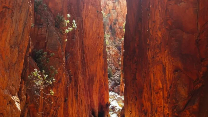 Standley Chasm – Dramatic Rock Walls(3)