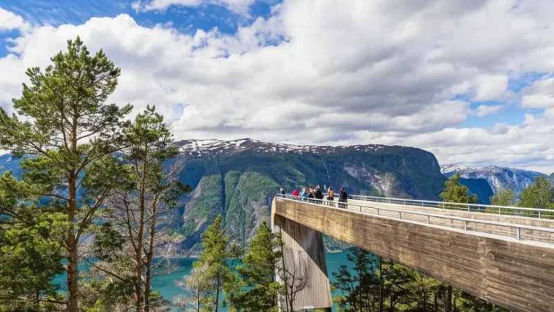 Stegastein Viewpoint – Panoramic Fjord Overlook(4)