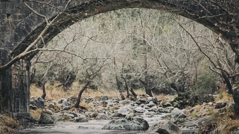 Stone Bridges – Colonial construction features(1)