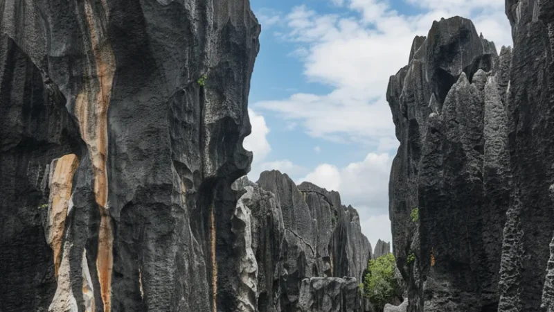 Stone Forest Day Trip Access – Gateway to natural wonders(5)