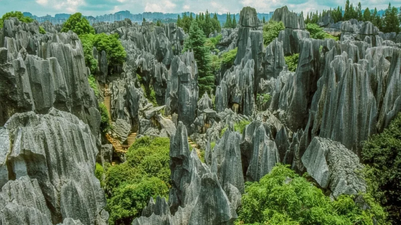 Stone Forest Scenic Area – Main limestone rock formations(1)