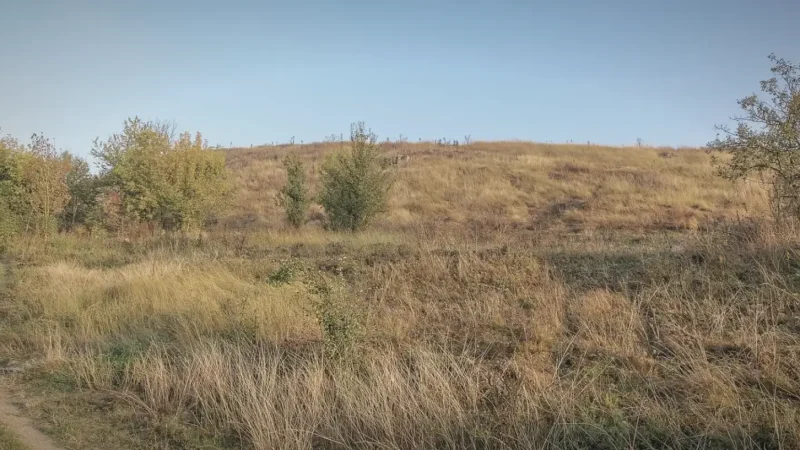 Strathclair Trail – Prairie-edge hiking trail(6)