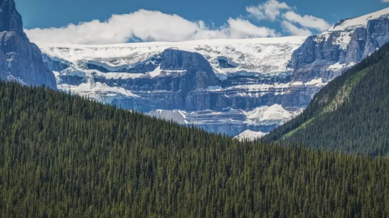 Stutfield Glacier Viewpoint(5)