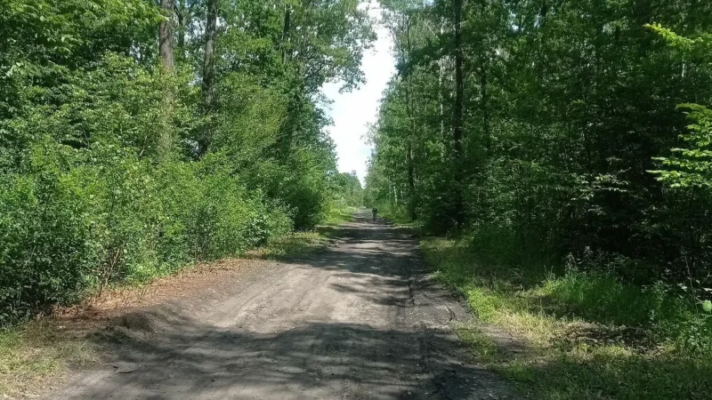 Suburban_Nature_Paths_04