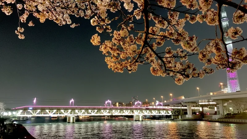 Sumida Park(6)