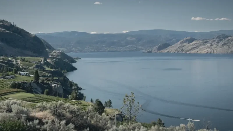 Summerland Vineyards(3)