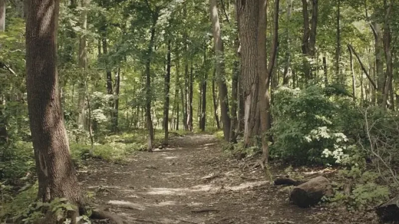 Summit Woods – Nature trails(2)